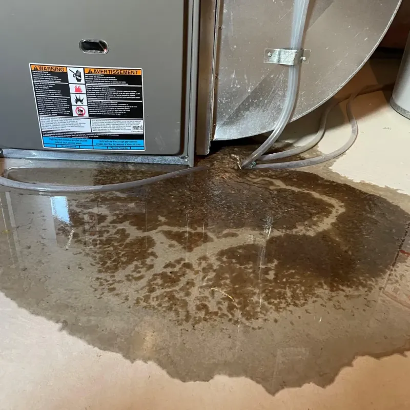 Appliance Leak Cleanup in Transylvania County, NC